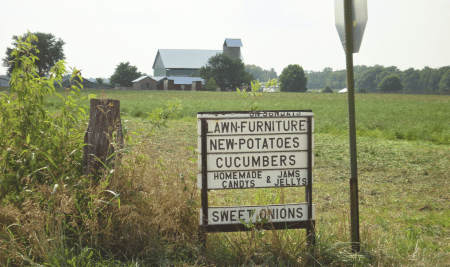 CULTURAL-COMPETENCY-amish-heritage-foundation-torah-bontrager-450x267