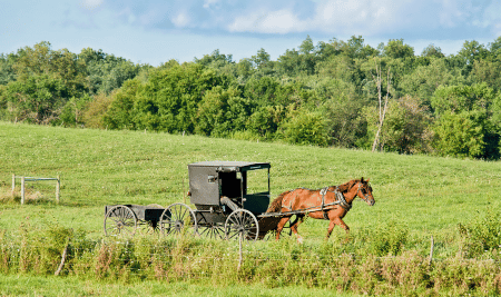 Amish Recipe Secrets: How to Make My Aunt’s Delicious Blackberry Crisp