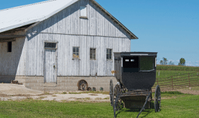 GET-INVOLVED-amish-heritage-foundation-torah-bontrager-buggy-midwestern-style-parked-white-barn-286x170