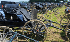 GET-INVOLVED-amish-heritage-foundation-torah-bontrager-parked-open-buggies-caked-in-mud-286x170